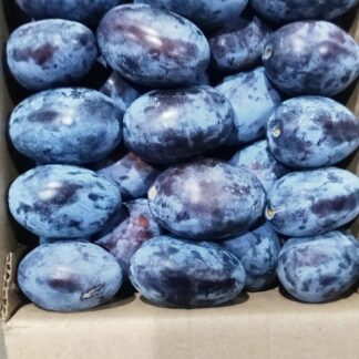 Fresh Prunes, Himachal Pradesh