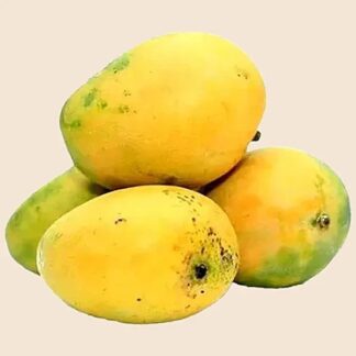 Banganapalli Mangoes, South India