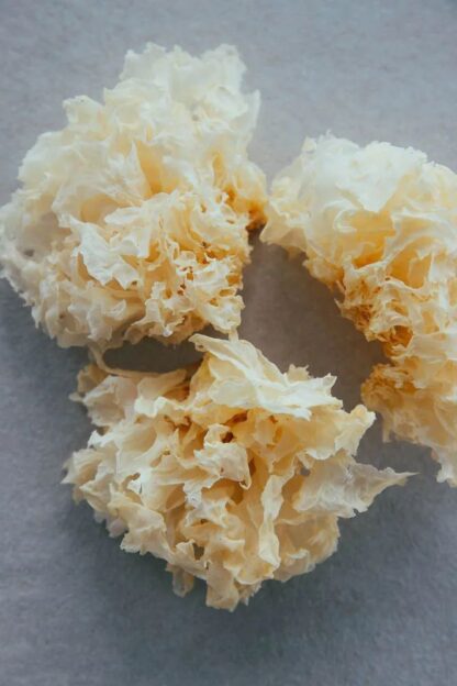 White Fungus