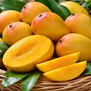 Mangoes Salem Bengalora (premium) TN